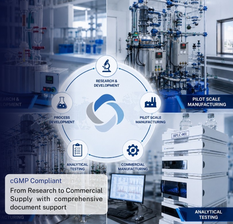 Integrated chemistry services from research to commercial manufacturing